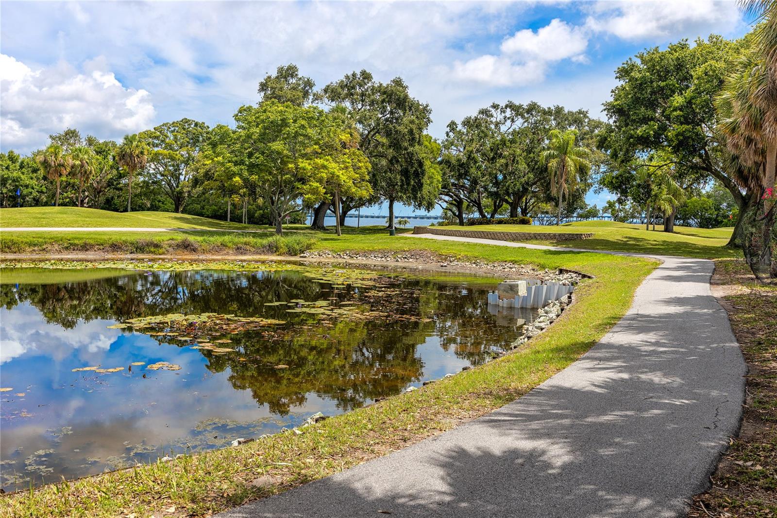 Image 47 of 61 For 2621 Cove Cay Drive 309
