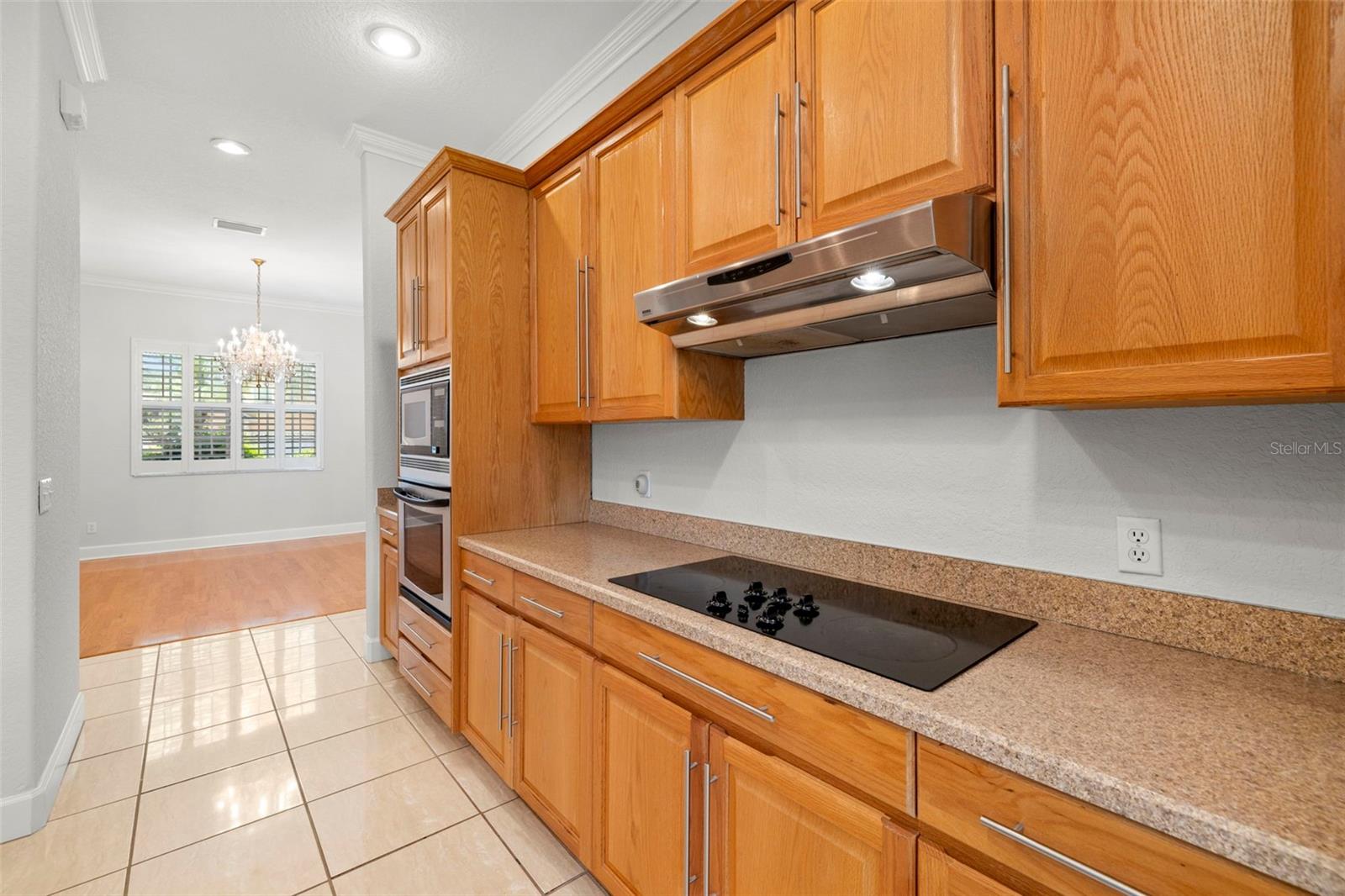 Image 9 of 50 For 3916 Valrico Grove Drive