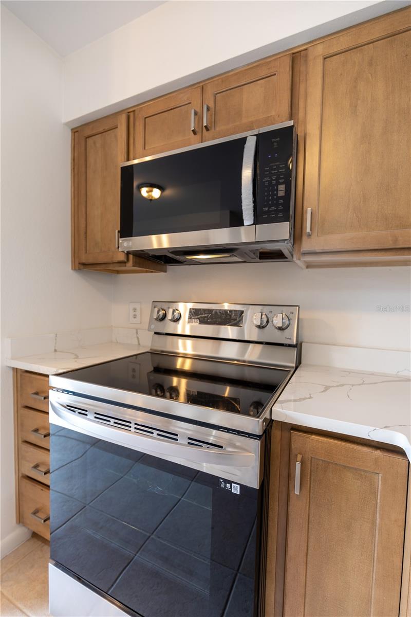 Image 4 of 36 For 16175 Rambling Vine Drive E