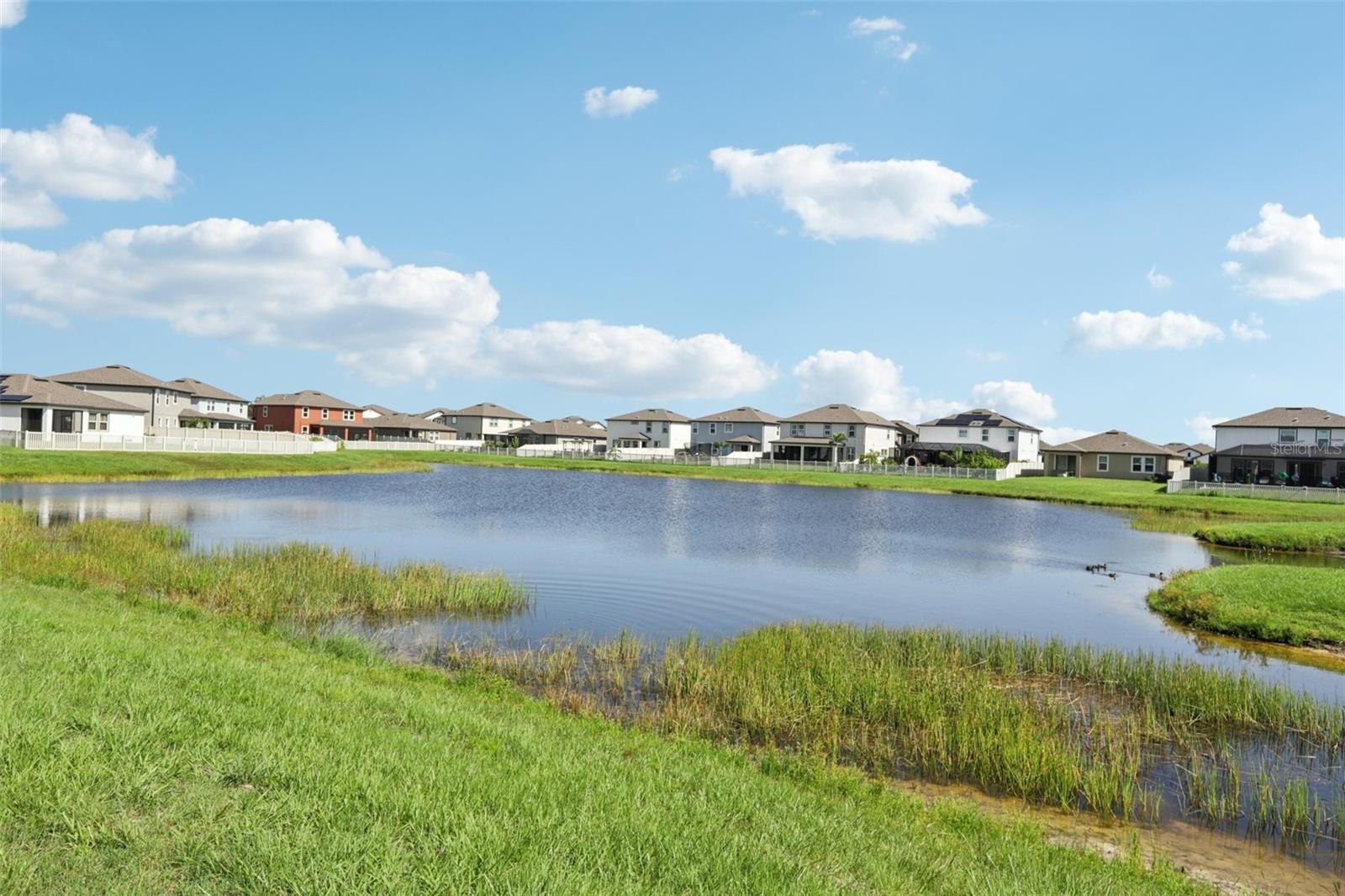 Image 42 of 44 For 13515 Palmera Vista Drive