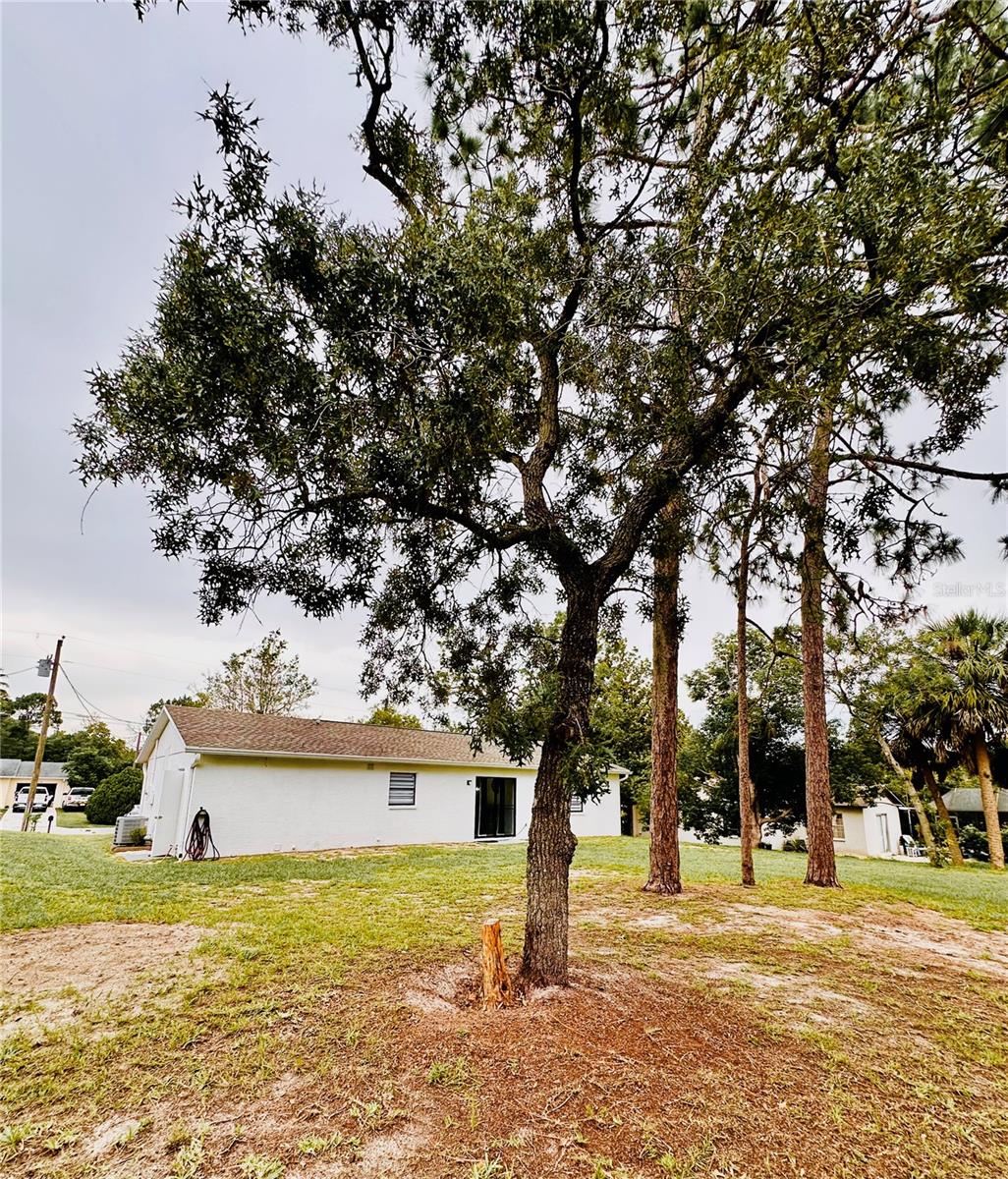 Image 50 of 53 For 13186 Thrush Street