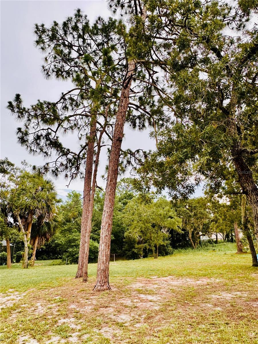 Image 51 of 53 For 13186 Thrush Street