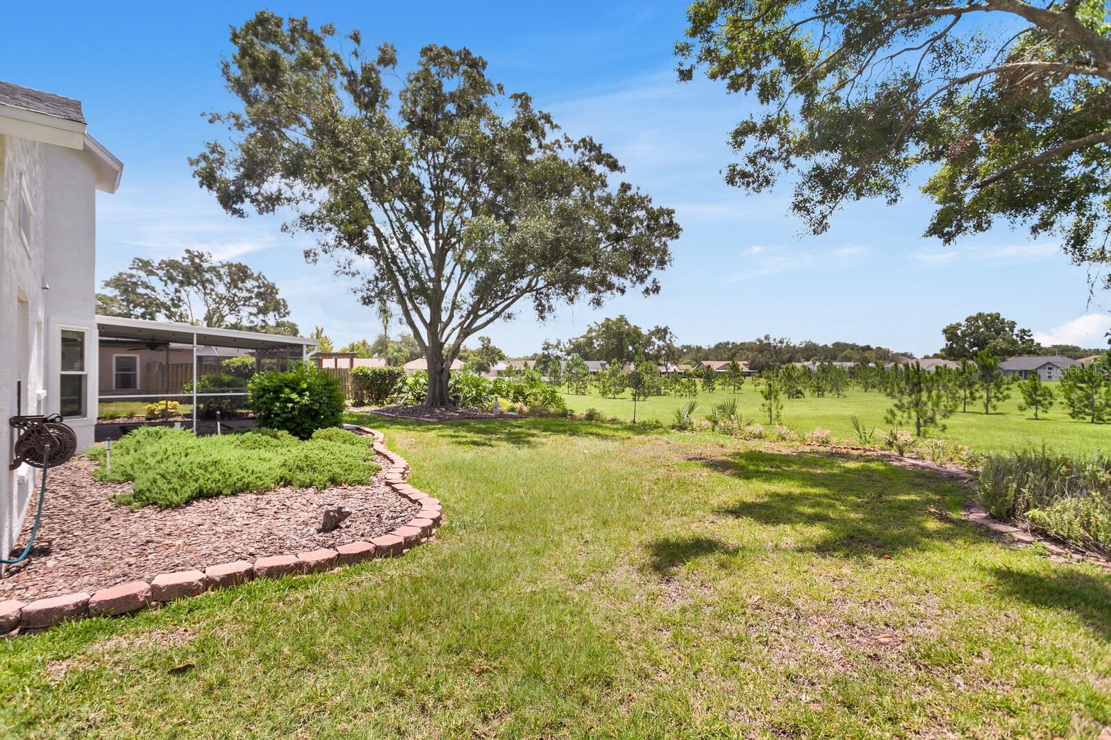 Image 54 of 81 For 1815 Citrus Orchard Way