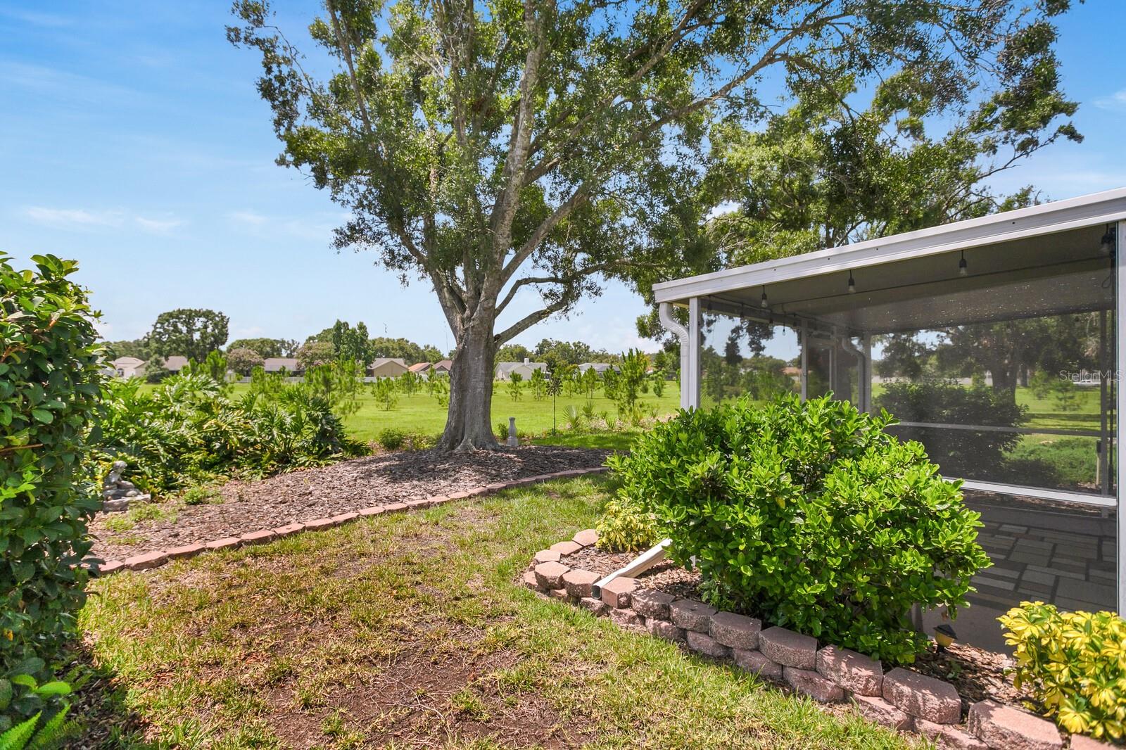Image 56 of 81 For 1815 Citrus Orchard Way