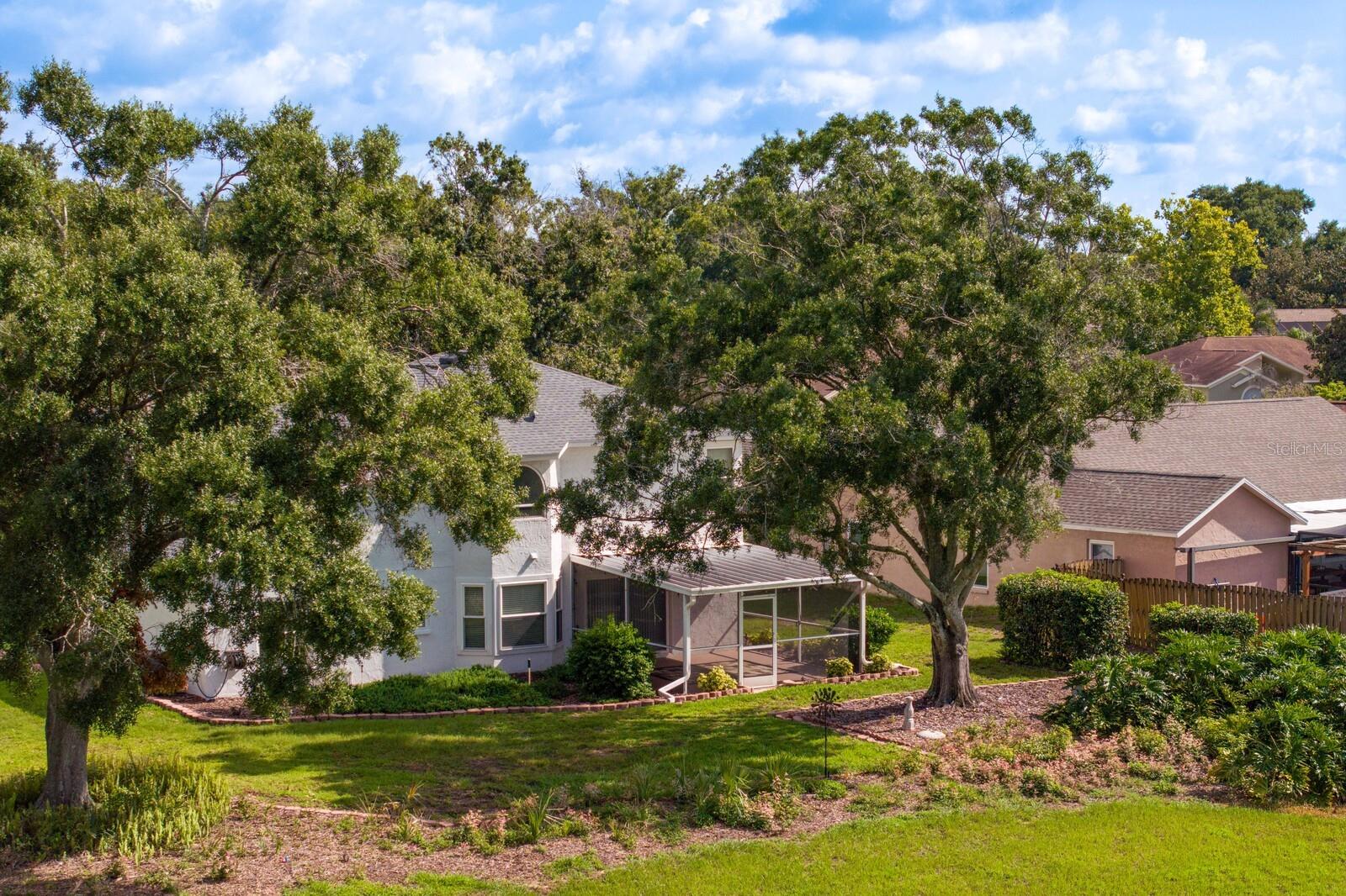 Image 61 of 81 For 1815 Citrus Orchard Way