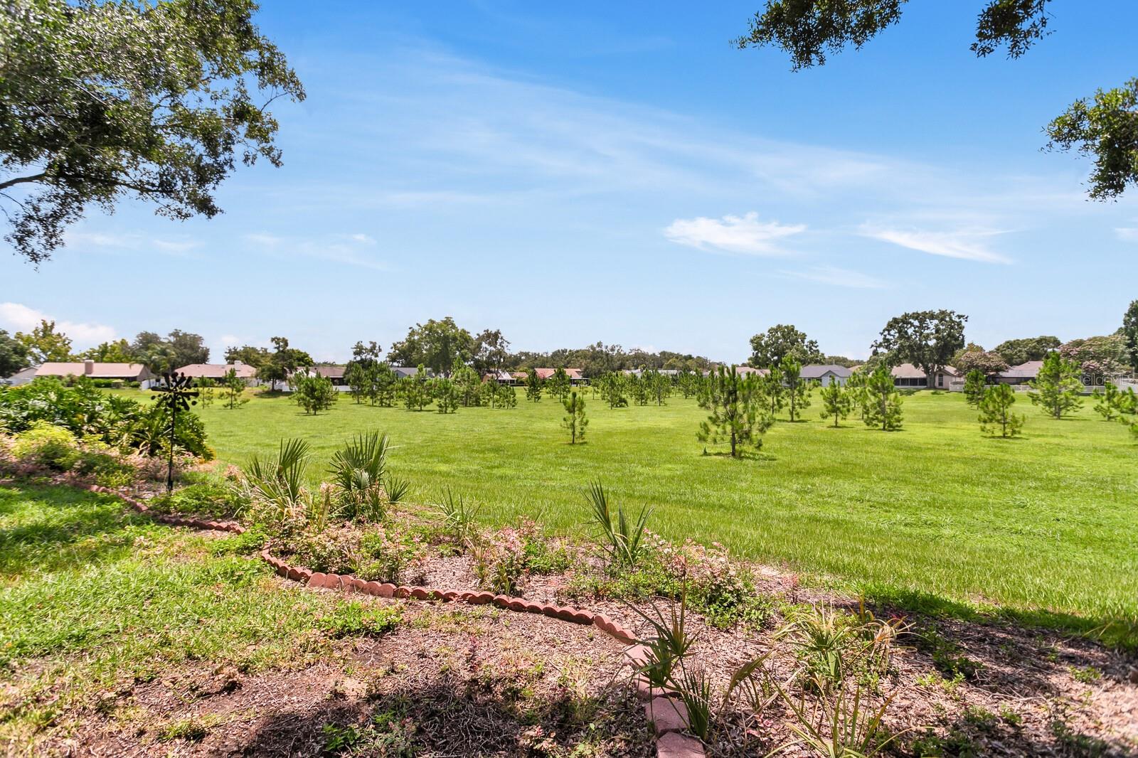 Image 7 of 81 For 1815 Citrus Orchard Way