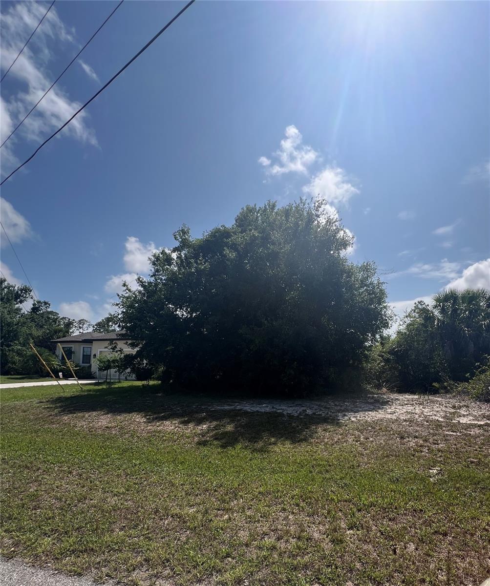 Image 13 of 14 For 168 White Pine Drive