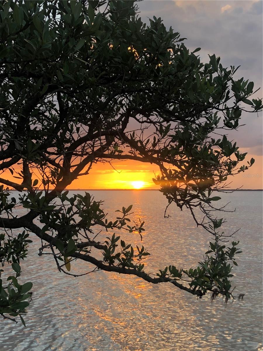 Listing photo id 29 for 4851 Gandy Boulevard B2l10