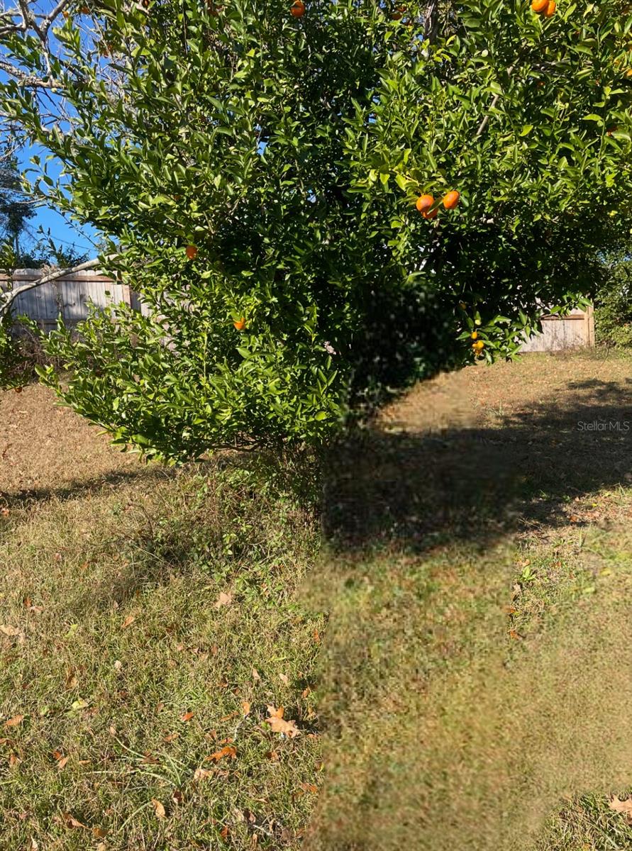 Image 7 of 7 For 700 Pine Avenue