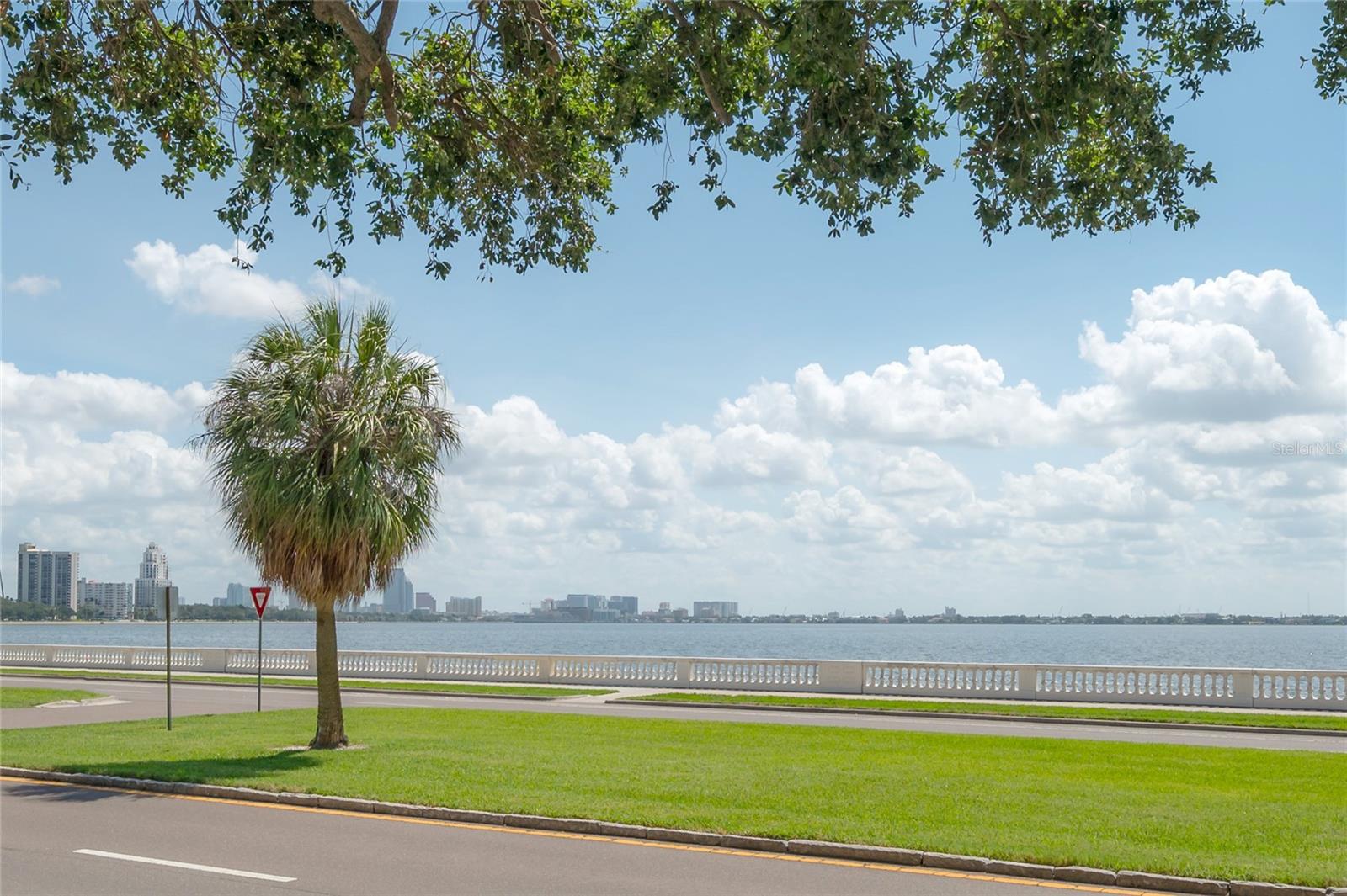 Image 2 of 44 For 3325 Bayshore Boulevard A17