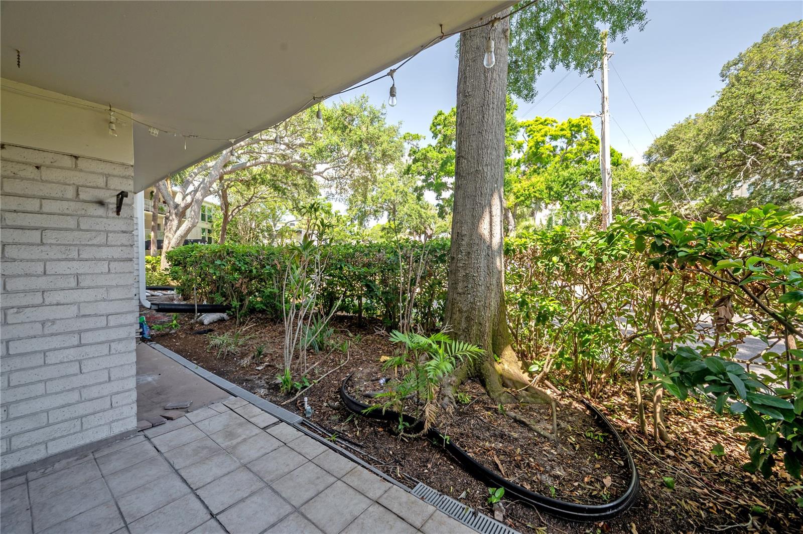 Image 31 of 44 For 3325 Bayshore Boulevard A17