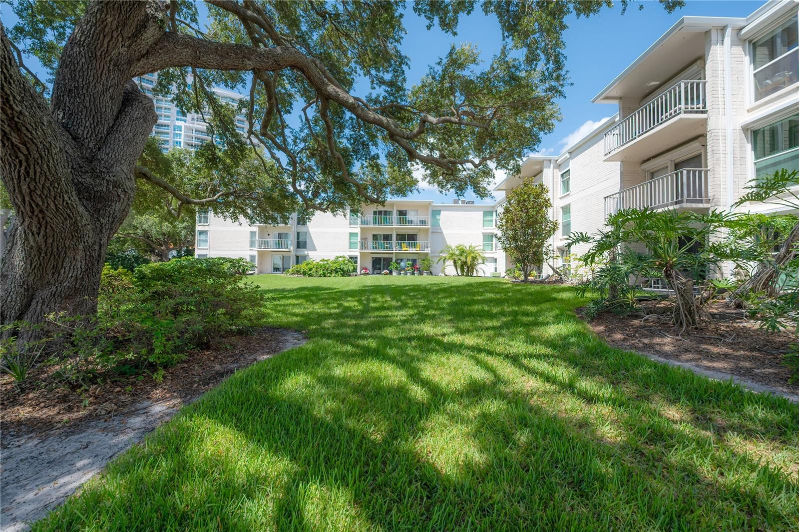 Image 44 of 44 For 3325 Bayshore Boulevard A17