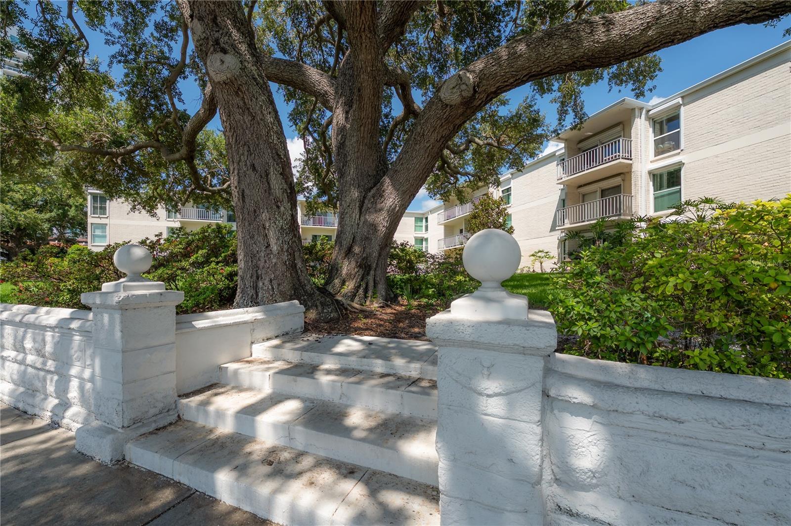 Image 6 of 44 For 3325 Bayshore Boulevard A17