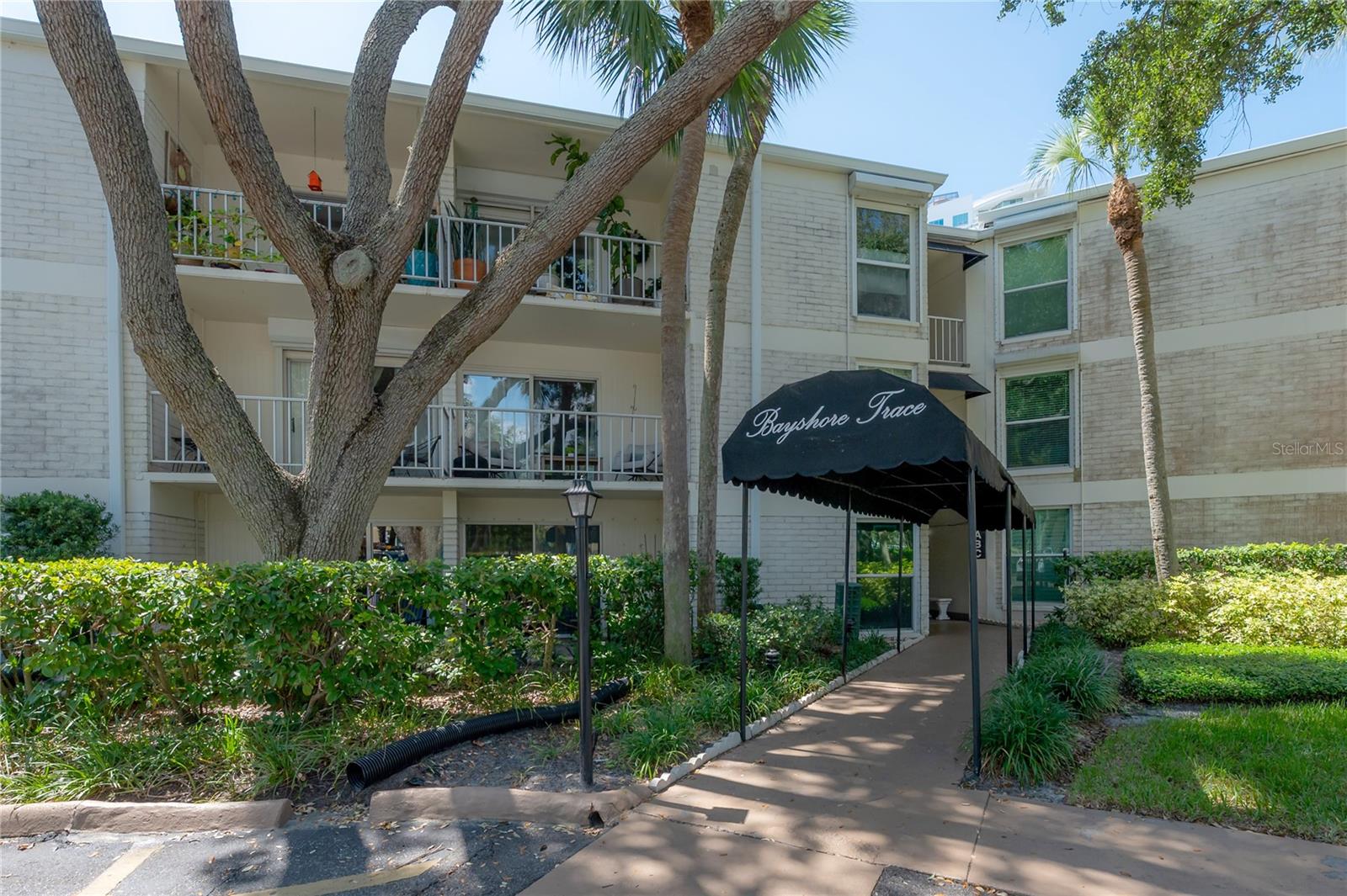 Image 7 of 44 For 3325 Bayshore Boulevard A17