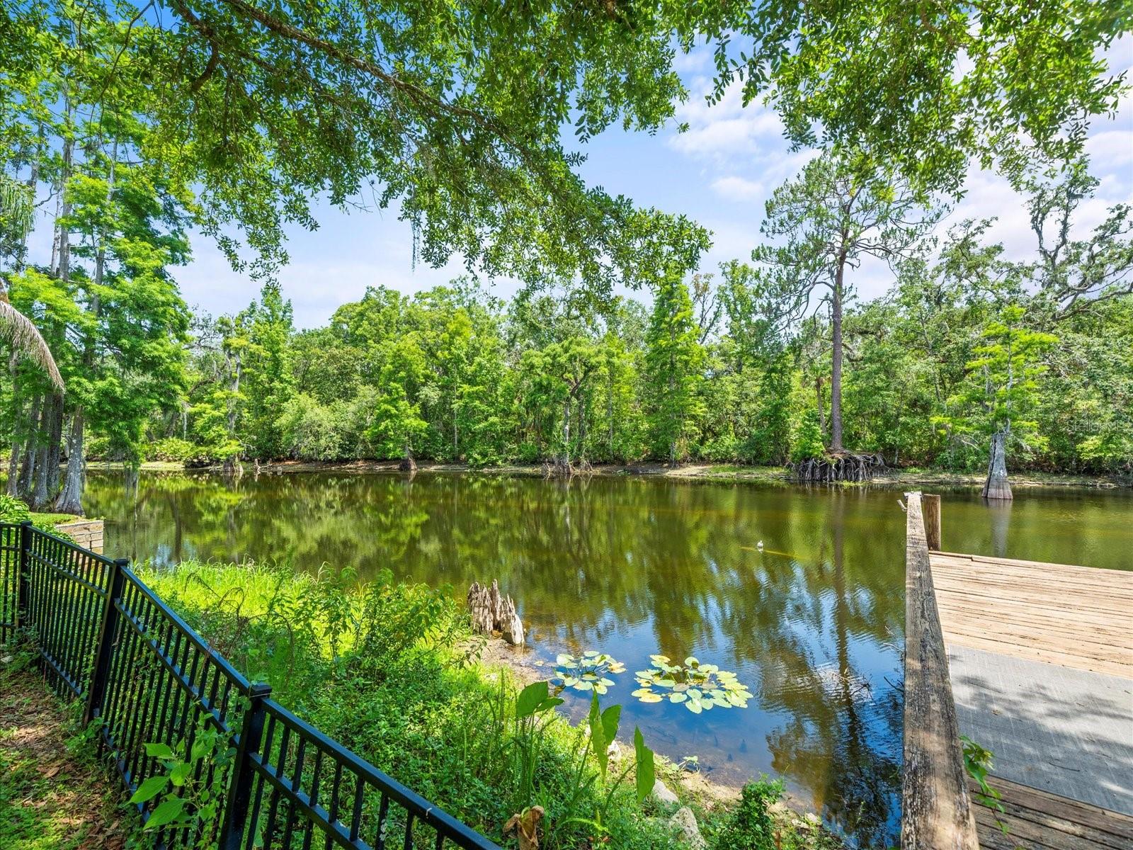 Listing photo id 64 for 713 Argyle Place