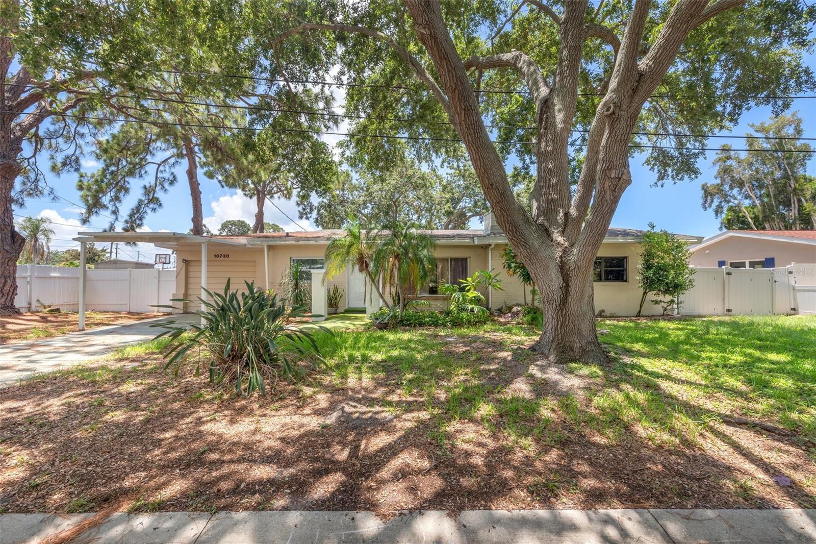 Listing photo id 5 for 10730 52nd Avenue N