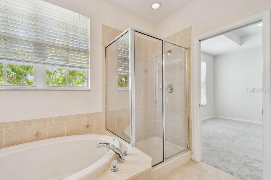 Image 21 of 39 For 14618 Mirabelle Vista Circle