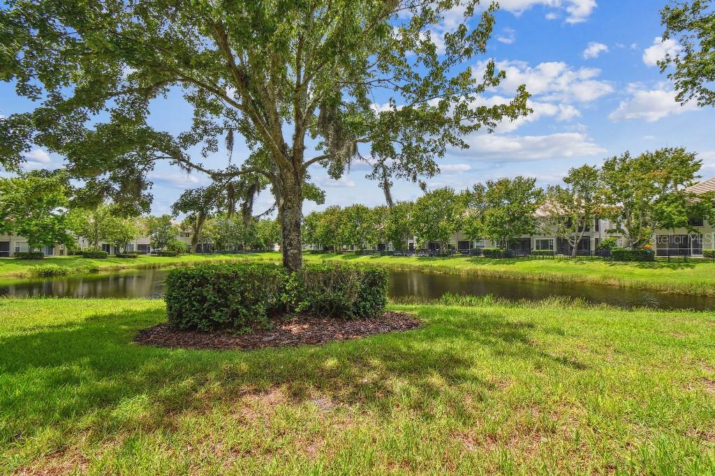 Image 32 of 39 For 14618 Mirabelle Vista Circle