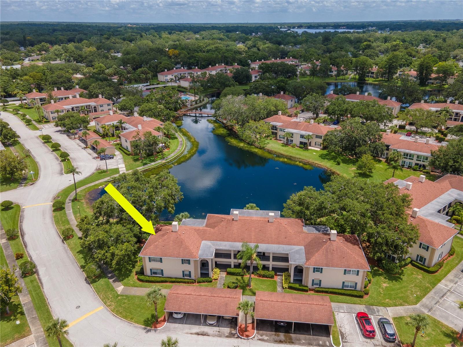 Image 31 of 51 For 10330 Carrollwood Lane 95