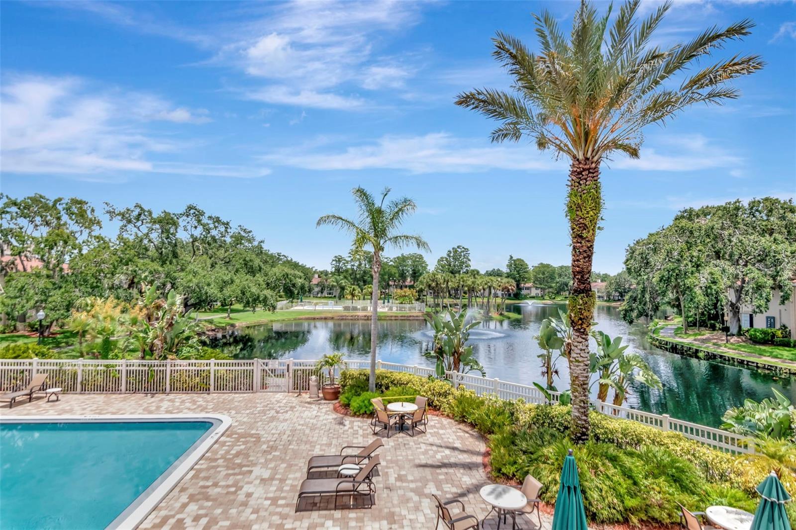 Image 38 of 51 For 10330 Carrollwood Lane 95