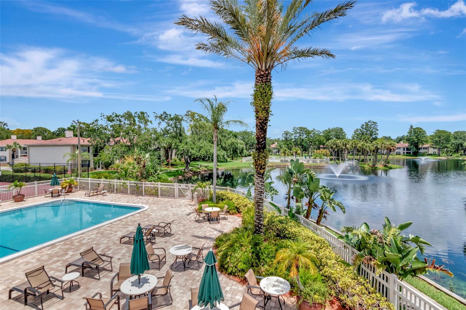 Image 39 of 51 For 10330 Carrollwood Lane 95