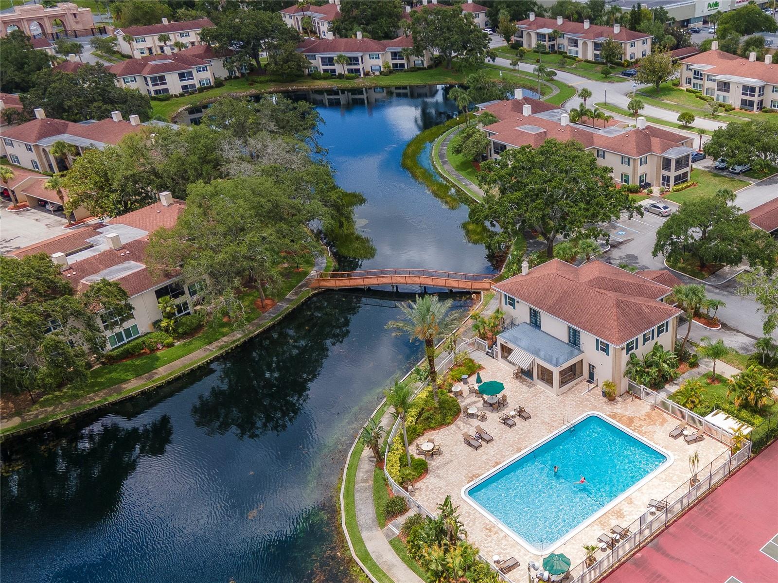 Image 43 of 51 For 10330 Carrollwood Lane 95