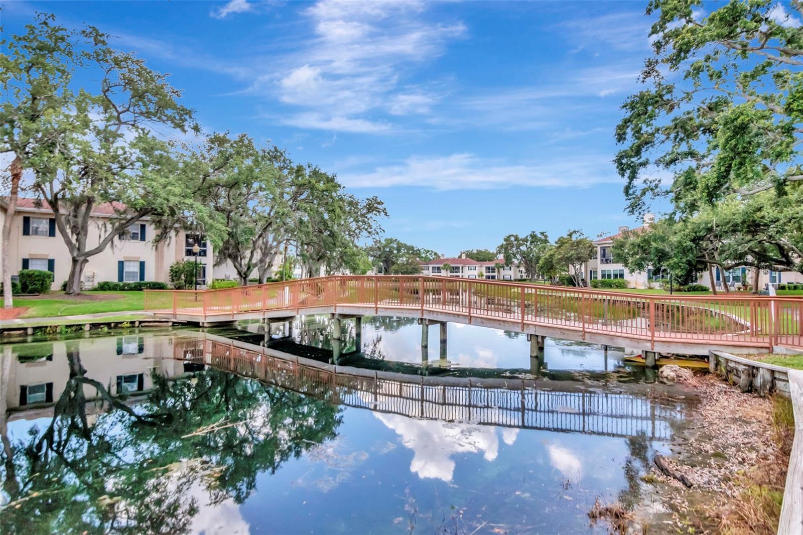 Image 44 of 51 For 10330 Carrollwood Lane 95