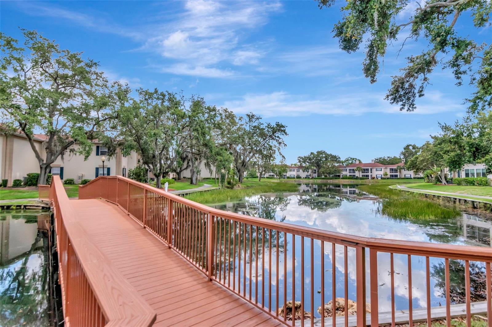Image 45 of 51 For 10330 Carrollwood Lane 95