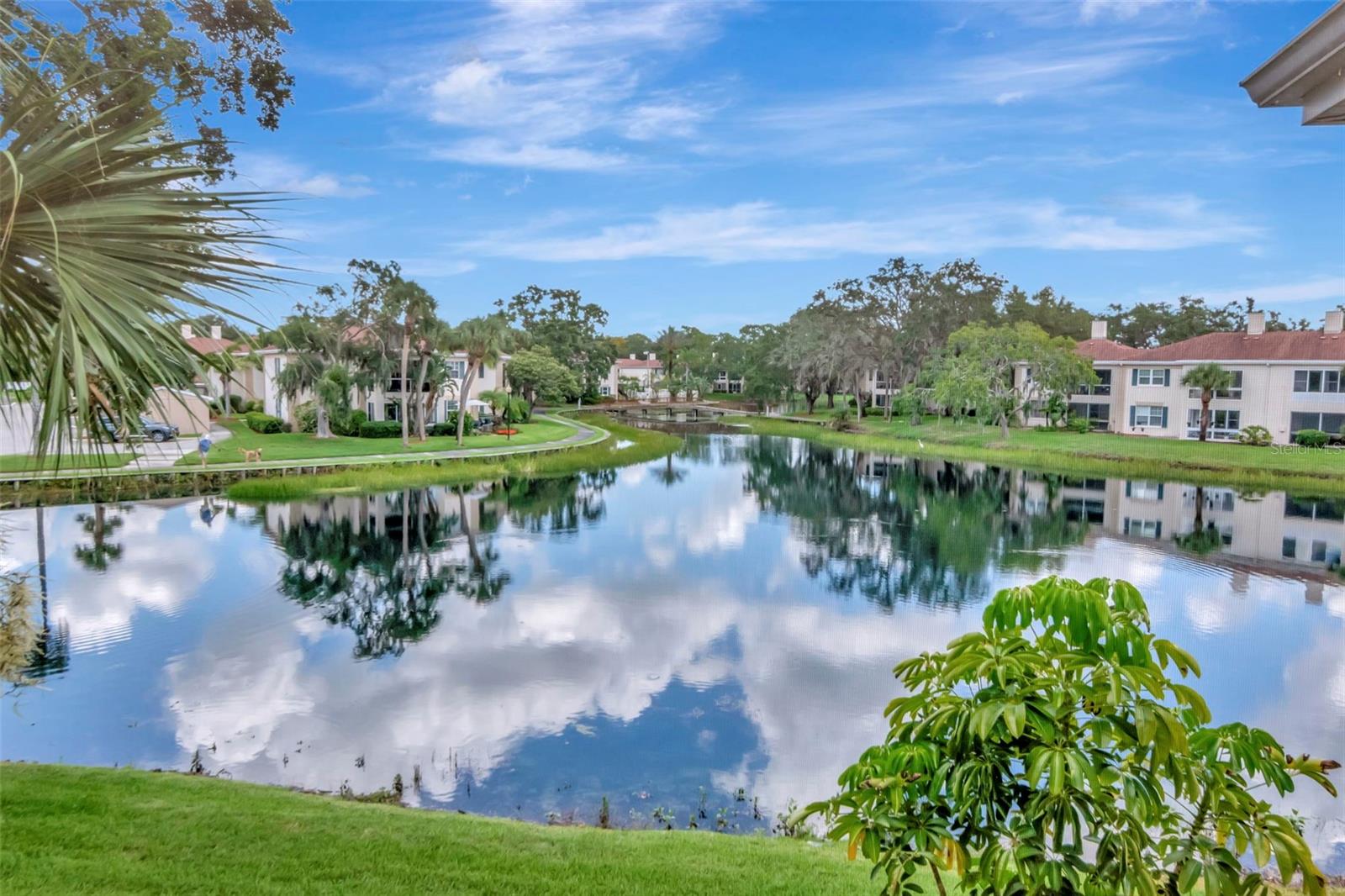 Image 46 of 51 For 10330 Carrollwood Lane 95