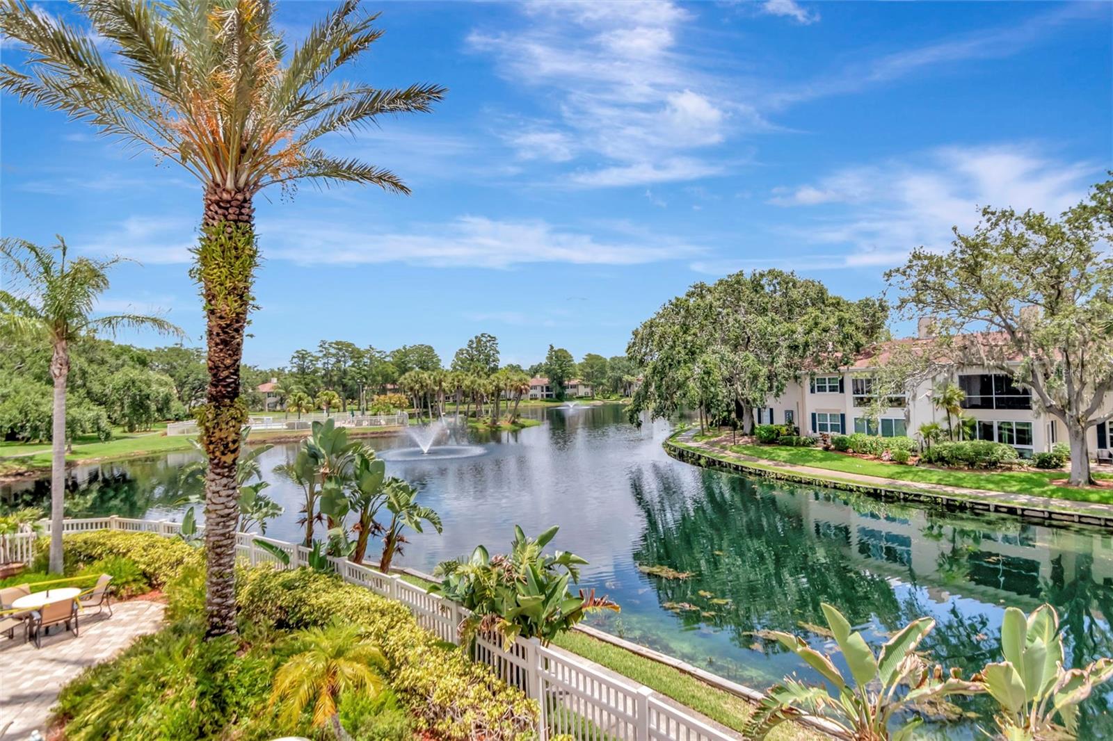 Image 47 of 51 For 10330 Carrollwood Lane 95