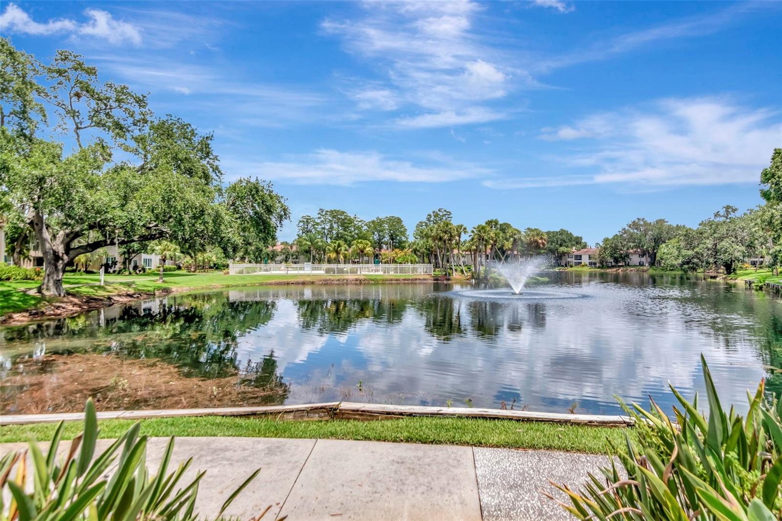Image 48 of 51 For 10330 Carrollwood Lane 95