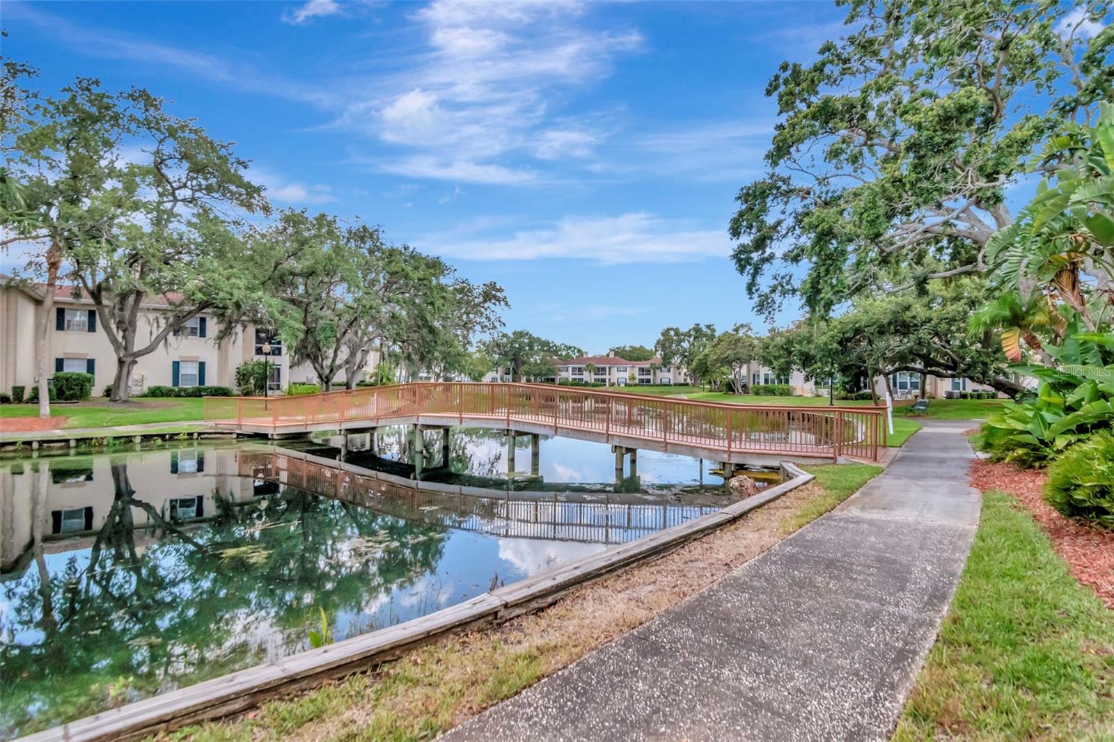 Image 49 of 51 For 10330 Carrollwood Lane 95