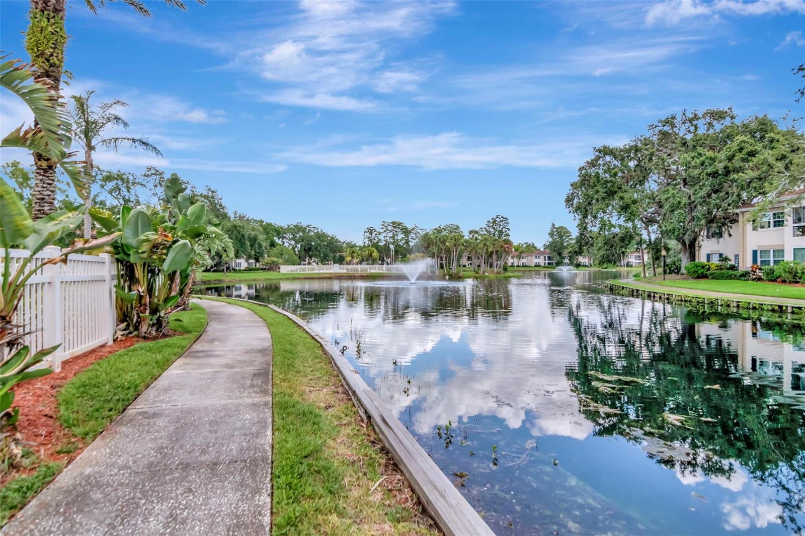Image 50 of 51 For 10330 Carrollwood Lane 95