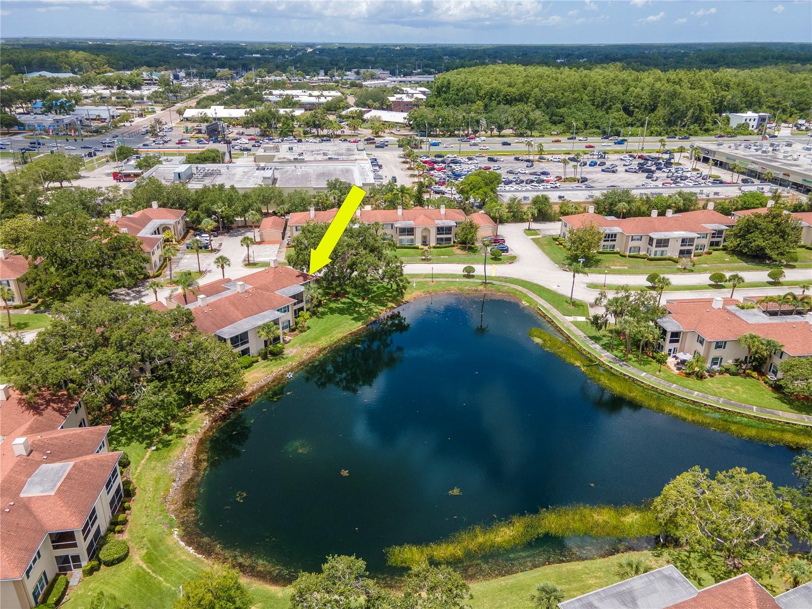 Image 51 of 51 For 10330 Carrollwood Lane 95