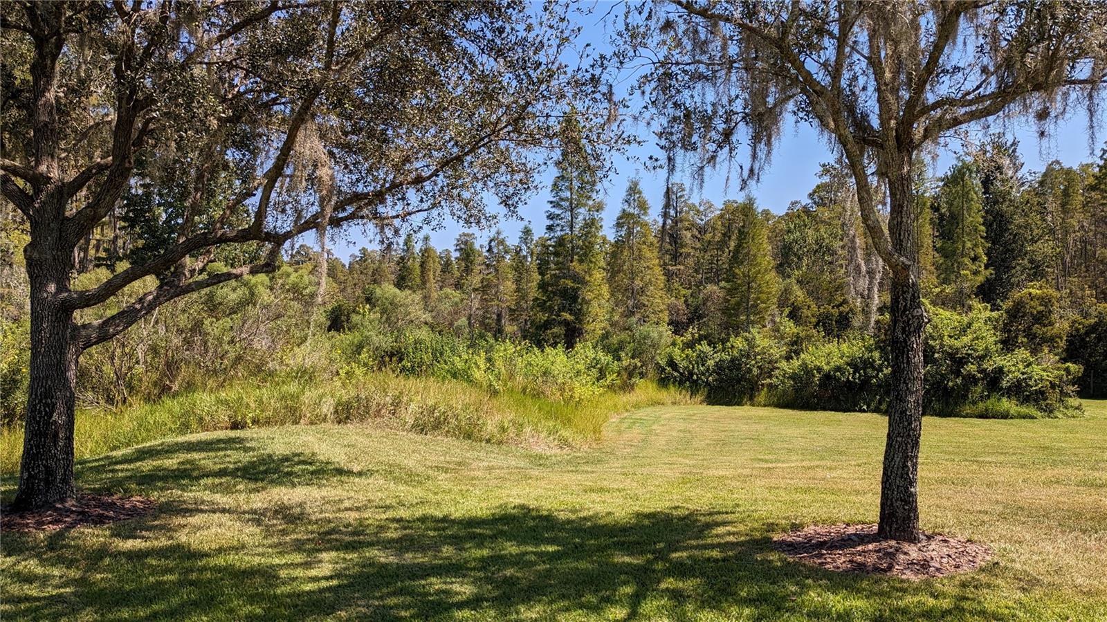 Image 4 of 28 For 19251 Stone Hedge Drive