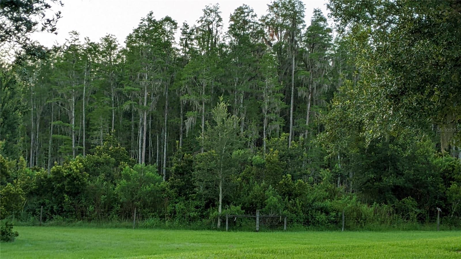 Image 7 of 28 For 19251 Stone Hedge Drive
