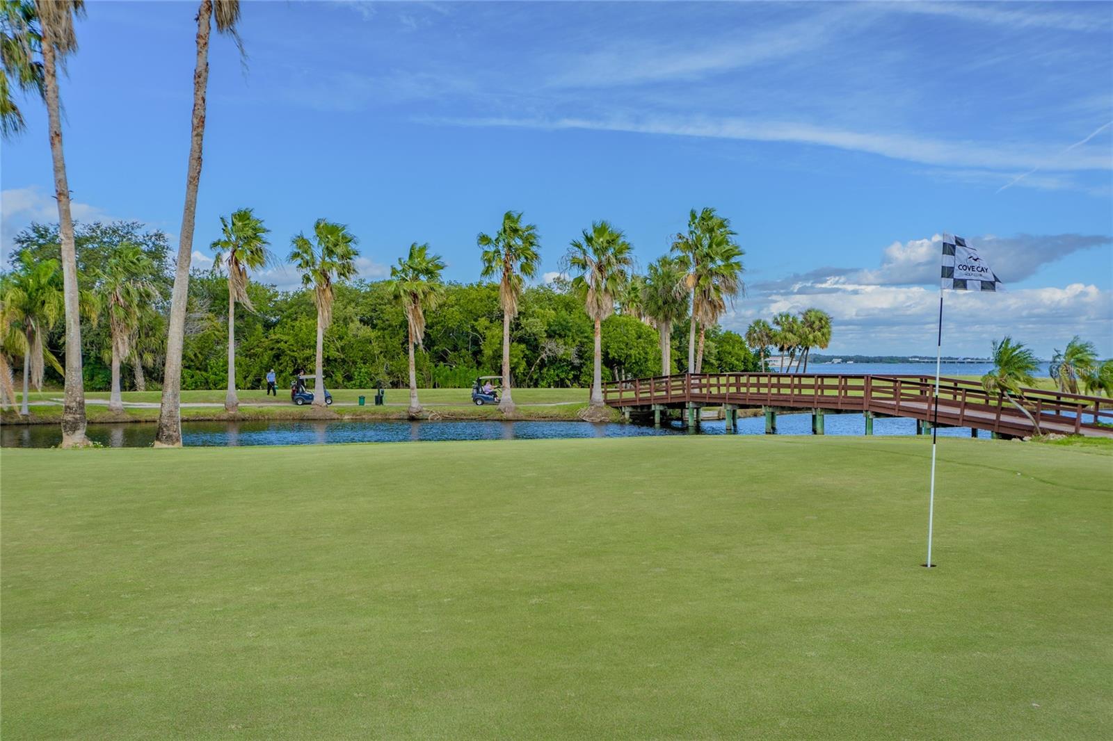 Image 68 of 97 For 2700 Cove Cay Drive 1-2f