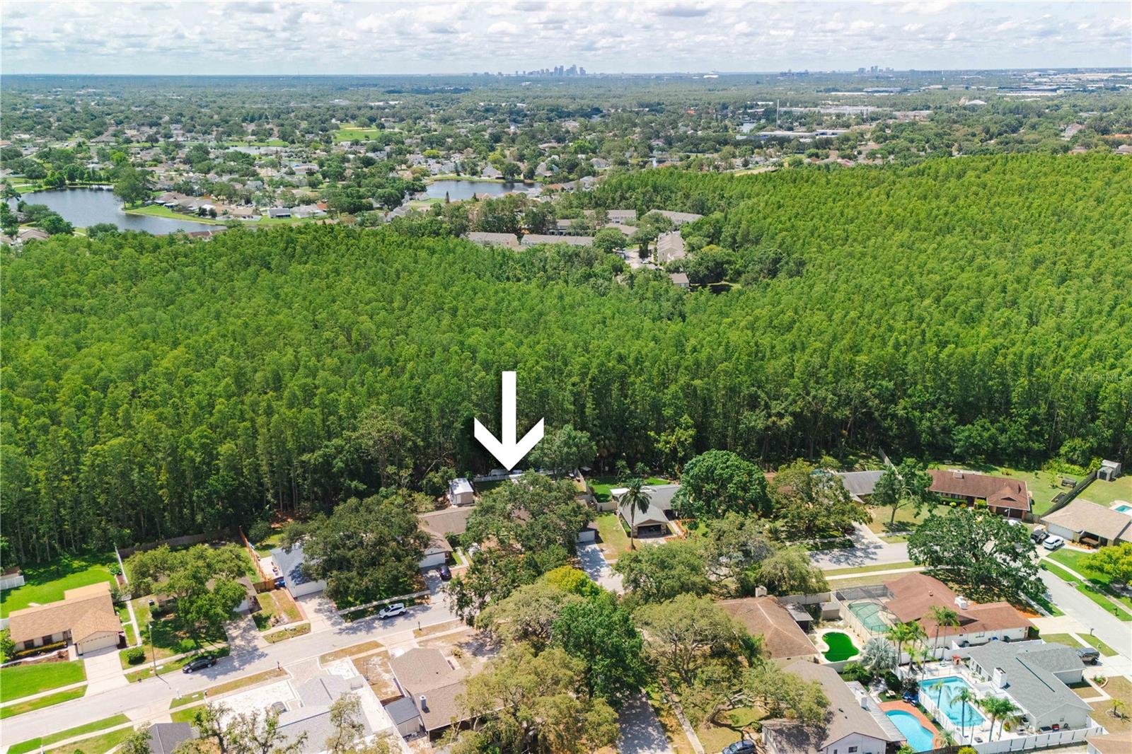 Image 30 of 33 For 5346 Black Pine Drive