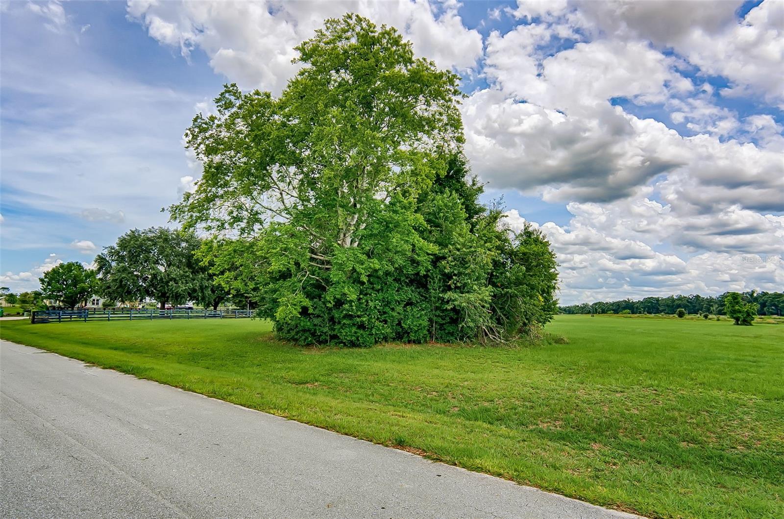 Image 3 of 12 For 16171 243rd Way