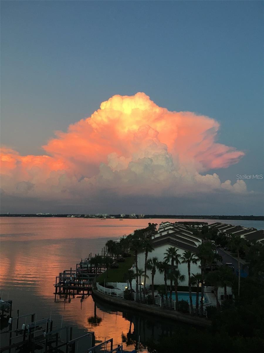Image 26 of 44 For 1591 Gulf Boulevard 304s