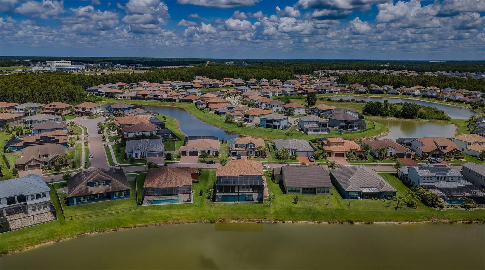 Image 81 of 98 For 29038 Picana Lane