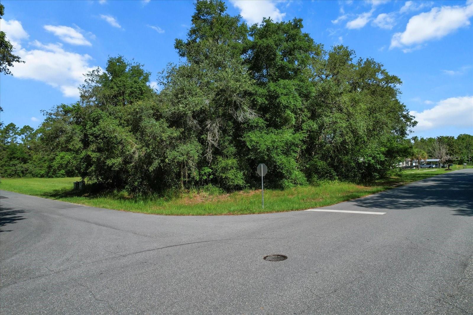 Listing photo id 2 for 9440 Caressa Way