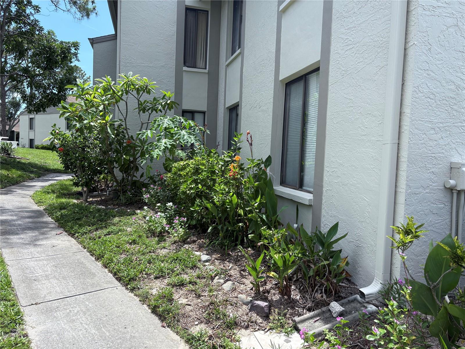 Image 27 of 28 For 2688 Pine Ridge Way N B1