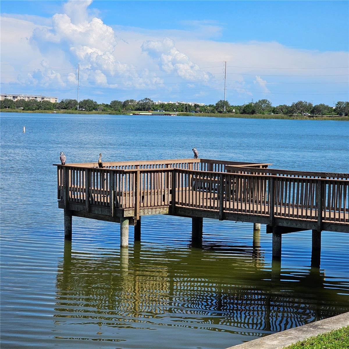 Image 3 of 46 For 7905 Seminole Boulevard 3204