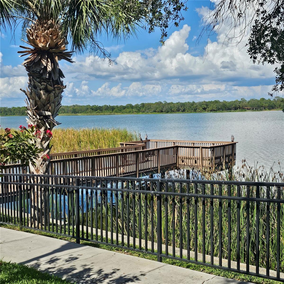 Image 4 of 46 For 7905 Seminole Boulevard 3204