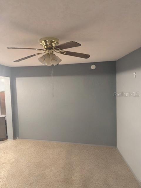 Image 11 of 24 For 225 Palmetto Avenue