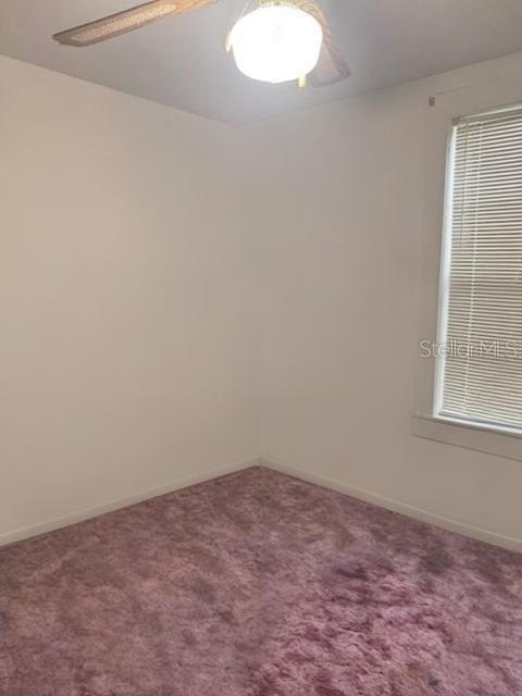 Image 21 of 24 For 225 Palmetto Avenue