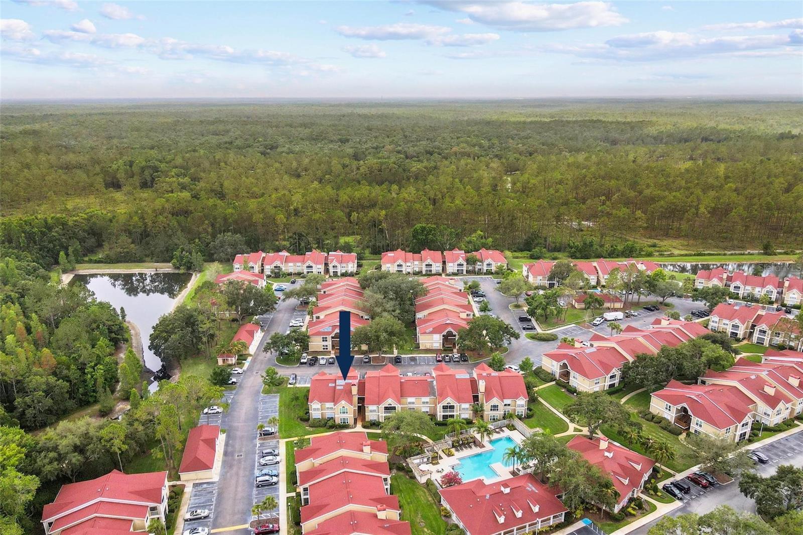 Listing photo id 25 for 9481 Highland Oak Drive 212