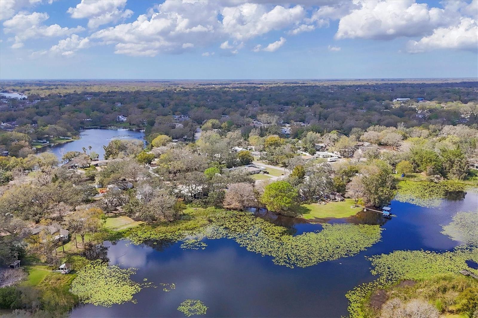 Details for 12227 Noreast Lake Drive, TAMPA, FL 33612
