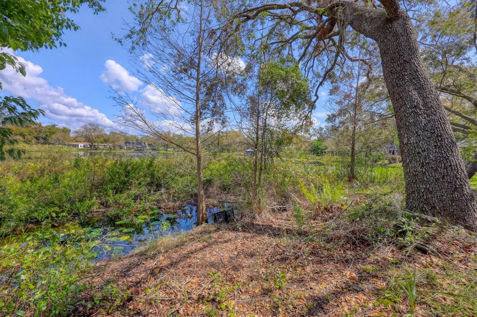Image 6 of 48 For 12227 Noreast Lake Drive